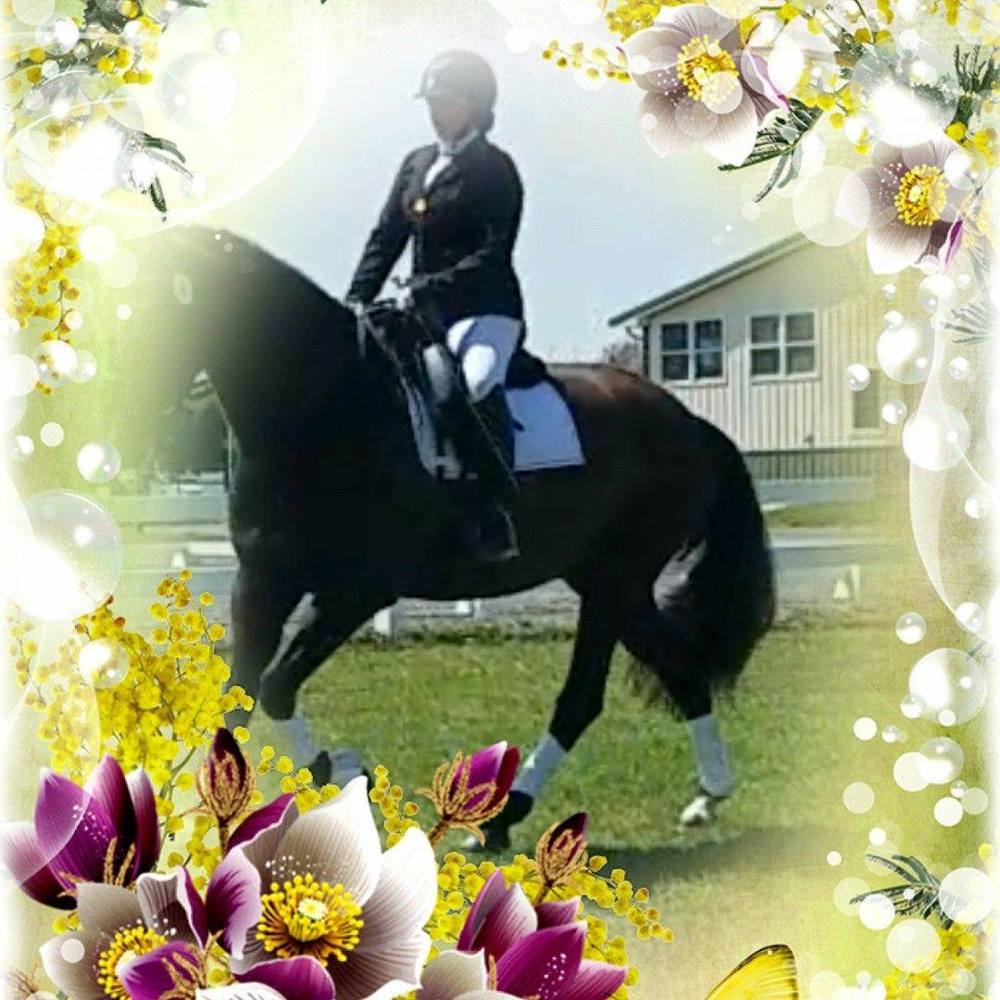 Meet your Posher, Tracey